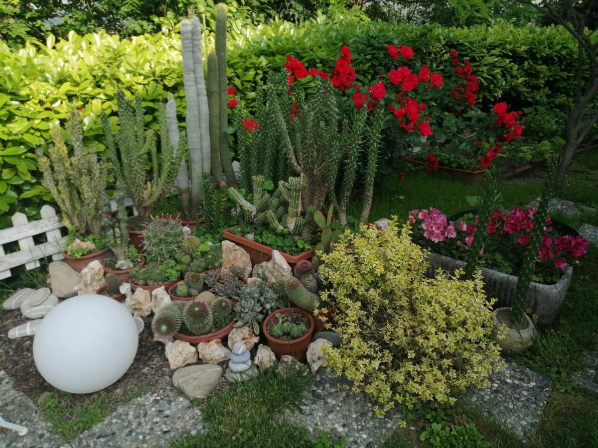 La Terrazza Sul Monferrato Lägenhet Ozzano Monferrato Exteriör bild